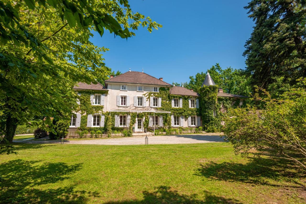 Chateau Des Ayes - Chambres & Suites Saint-Etienne-de-Saint-Geoirs Exterior photo