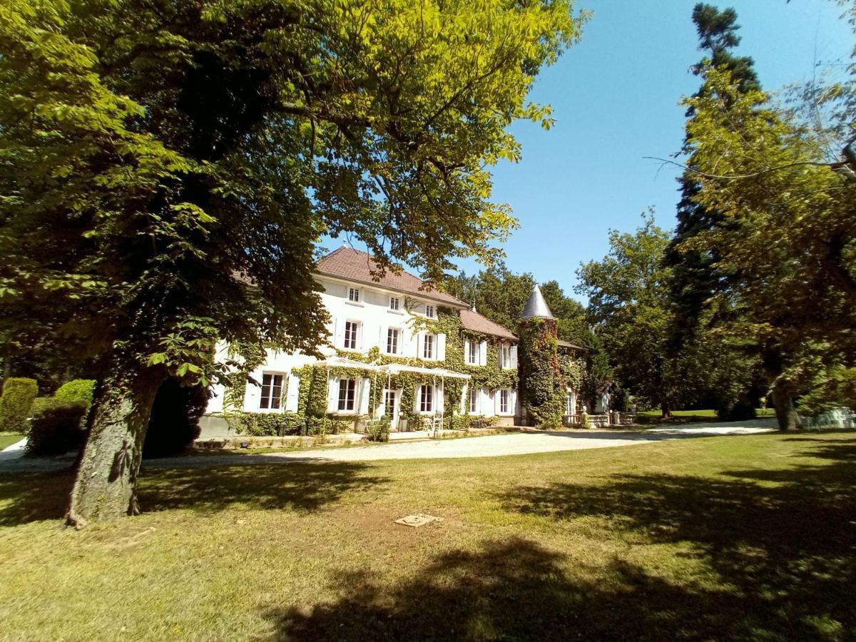 Chateau Des Ayes - Chambres & Suites Saint-Etienne-de-Saint-Geoirs Exterior photo